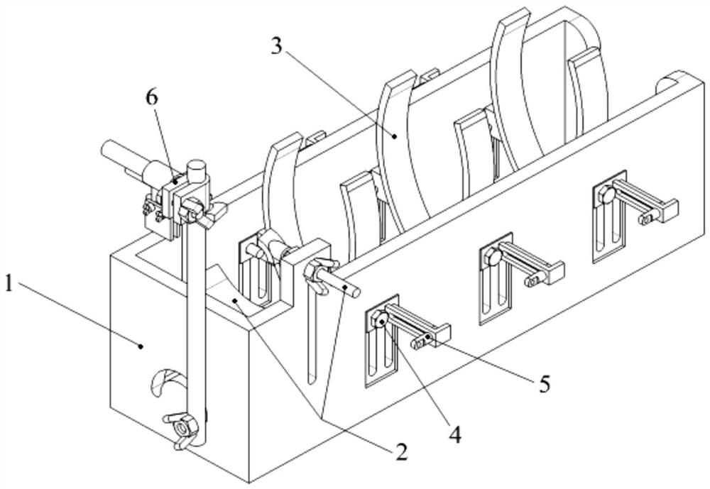 Fixing device and method for fish brain control technology application