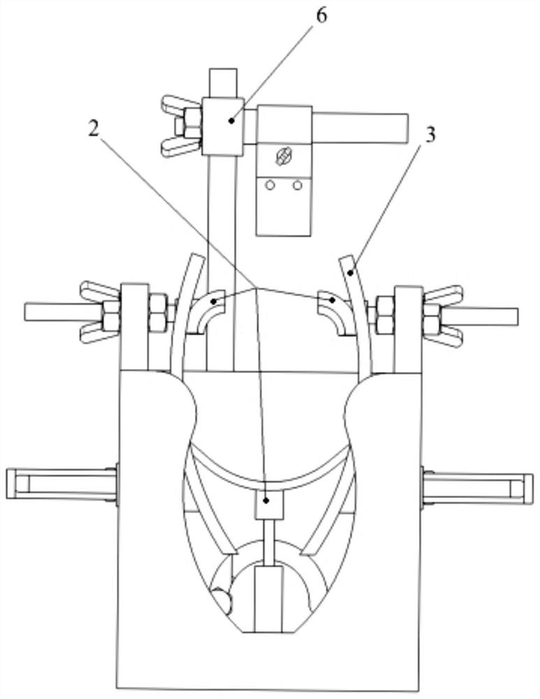 Fixing device and method for fish brain control technology application