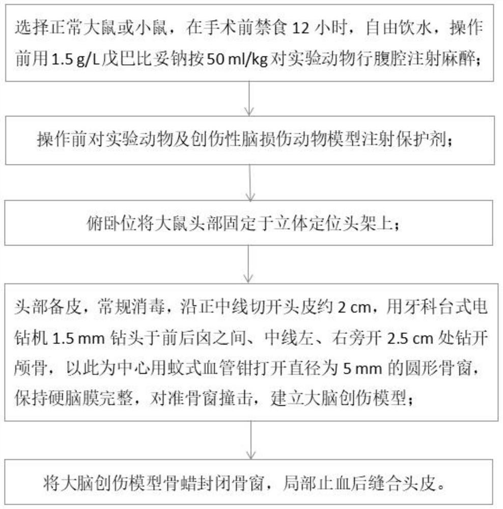 Construction method of traumatic brain injury animal model