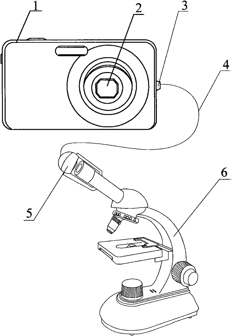 Digital camera capable of externally connecting camera