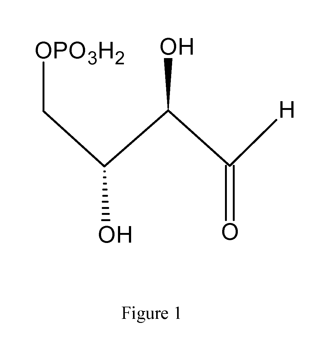 Methods for producing isomers of muconic acid and muconate salts