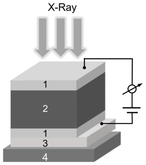 X-ray detector suitable for high temperature environment and preparation method thereof