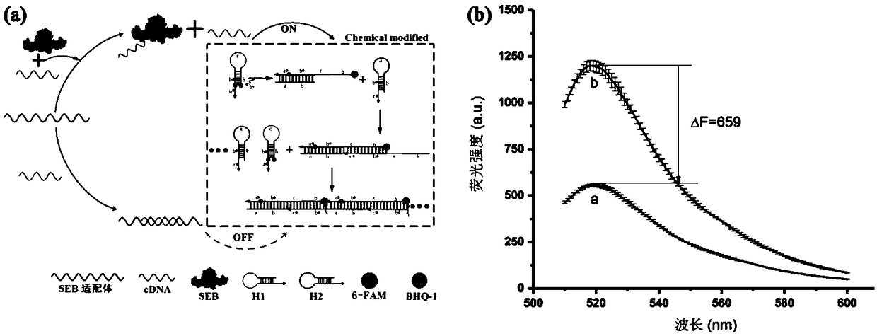 Detection method for sensitively and rapidly detecting staphylococcus aureus enterotoxin B