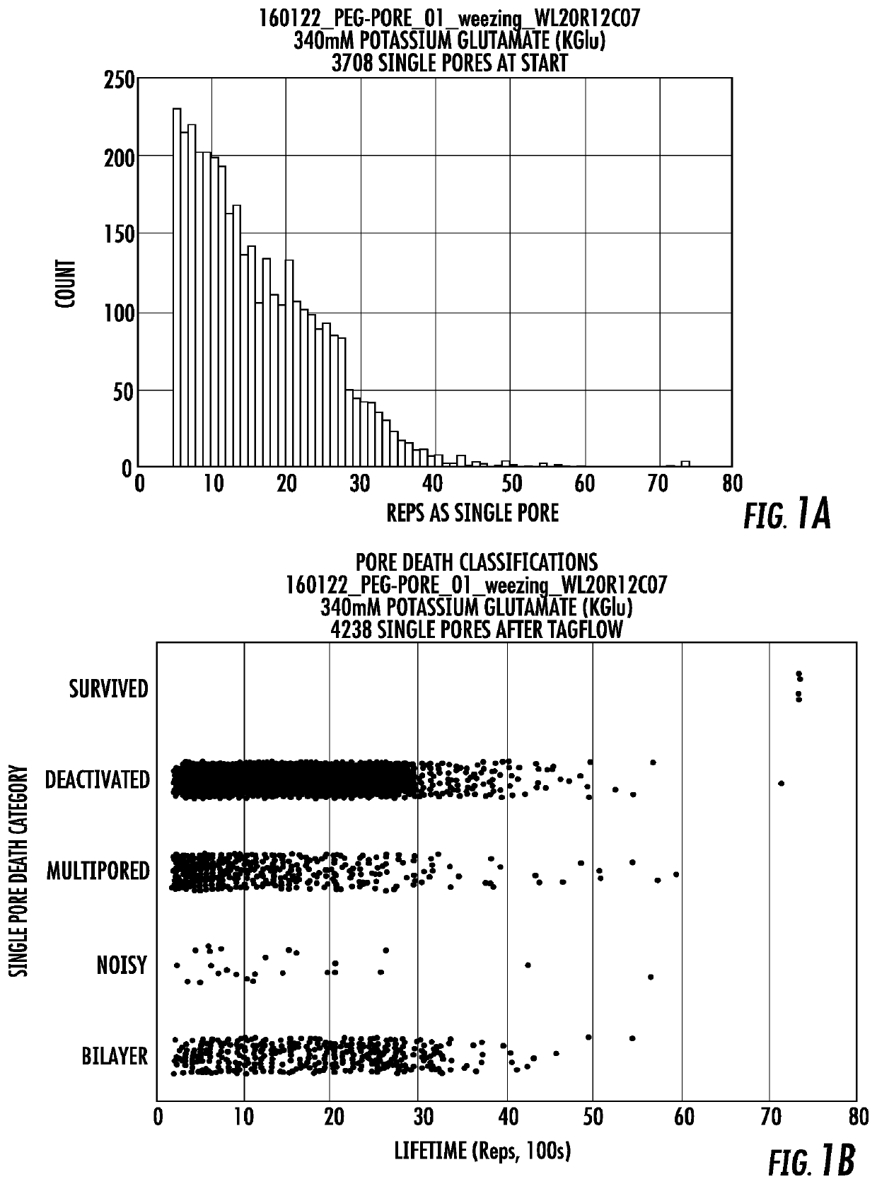 Long lifetime alpha-hemolysin nanapores