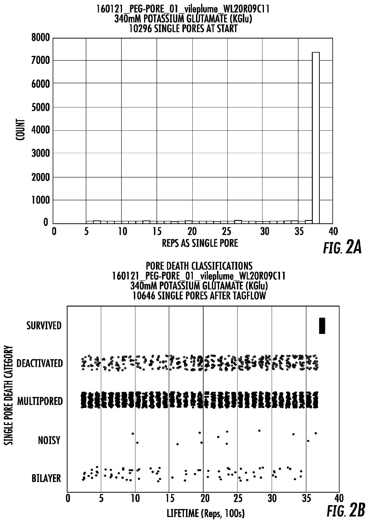 Long lifetime alpha-hemolysin nanapores