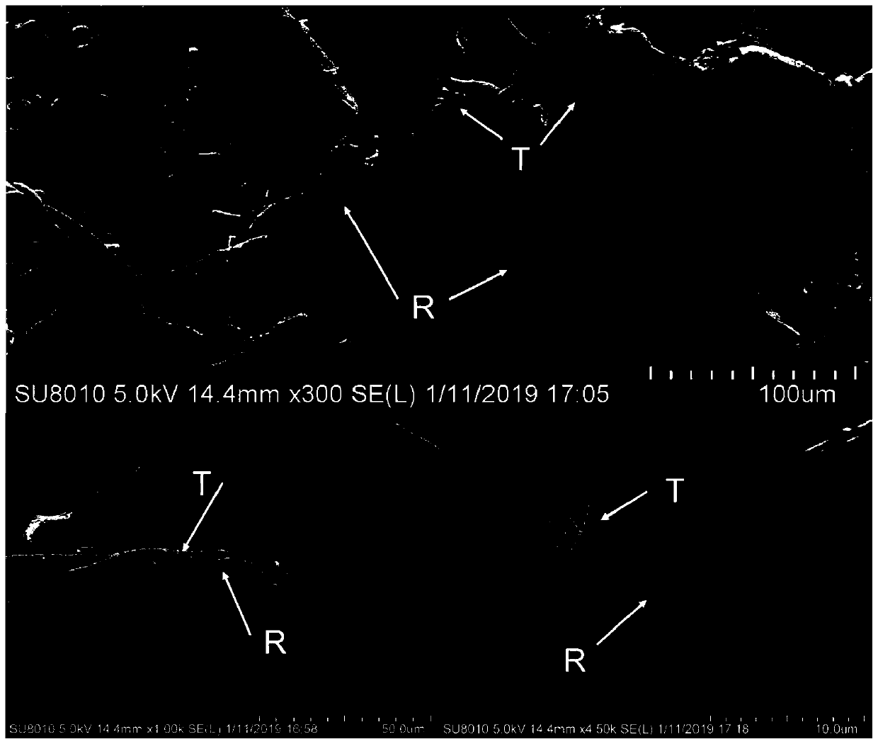 Trichoderma guizhouense and application thereof