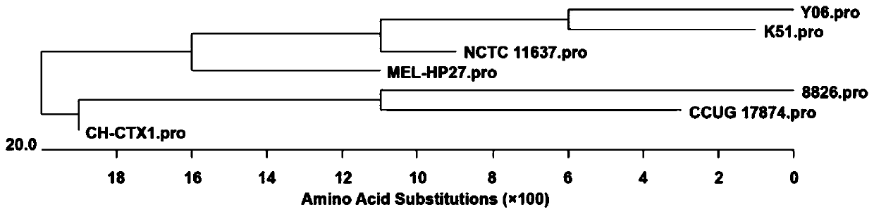 Helicobacter pylori HpaA subunit B cell epitope peptide and application