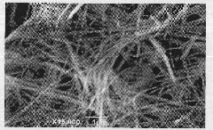 Method for preparing calcium silicate nanowires in batches at low cost