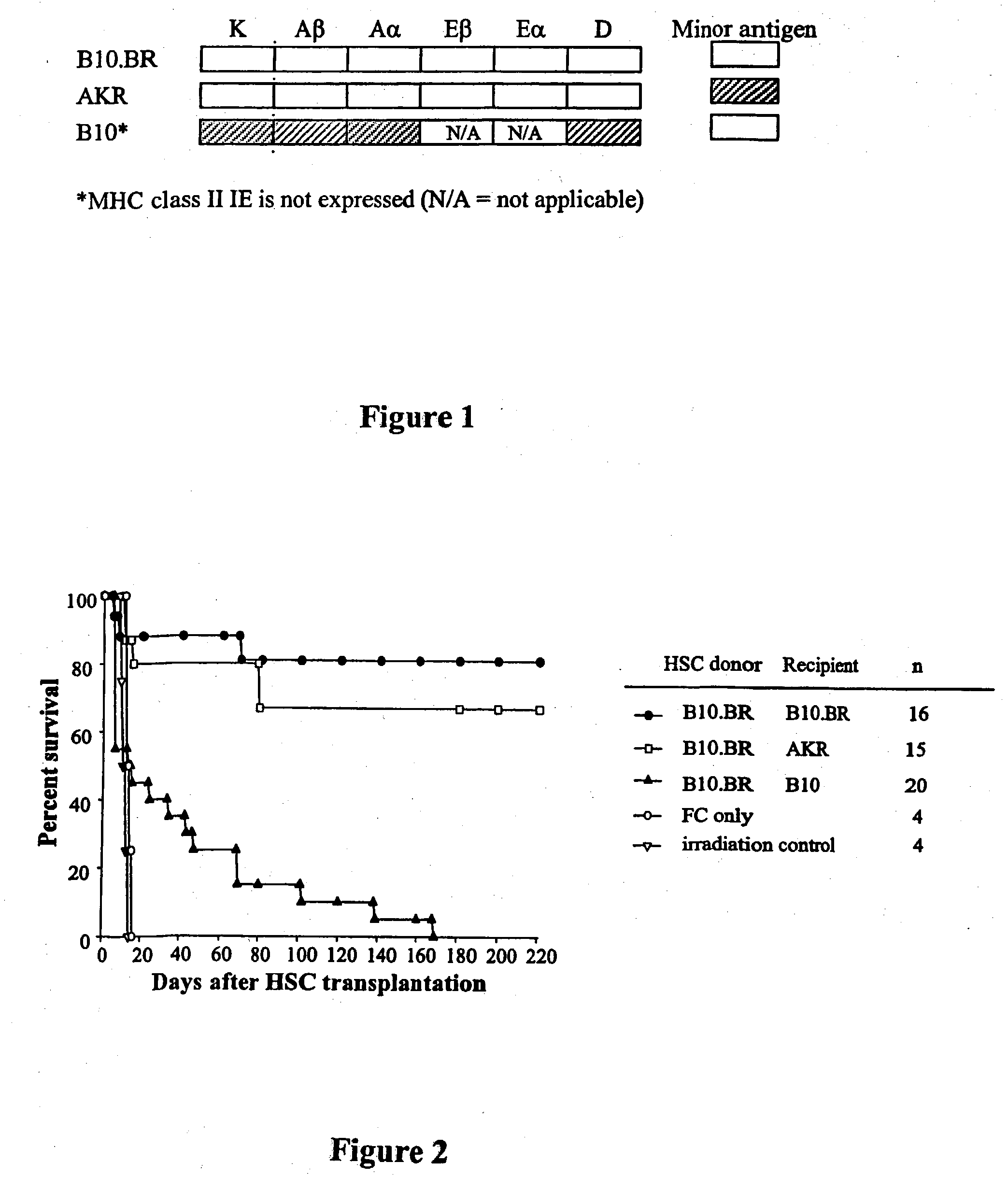 Methods for enhancing engraftment of purified hematopoietic stem cells in allogeneic recipients