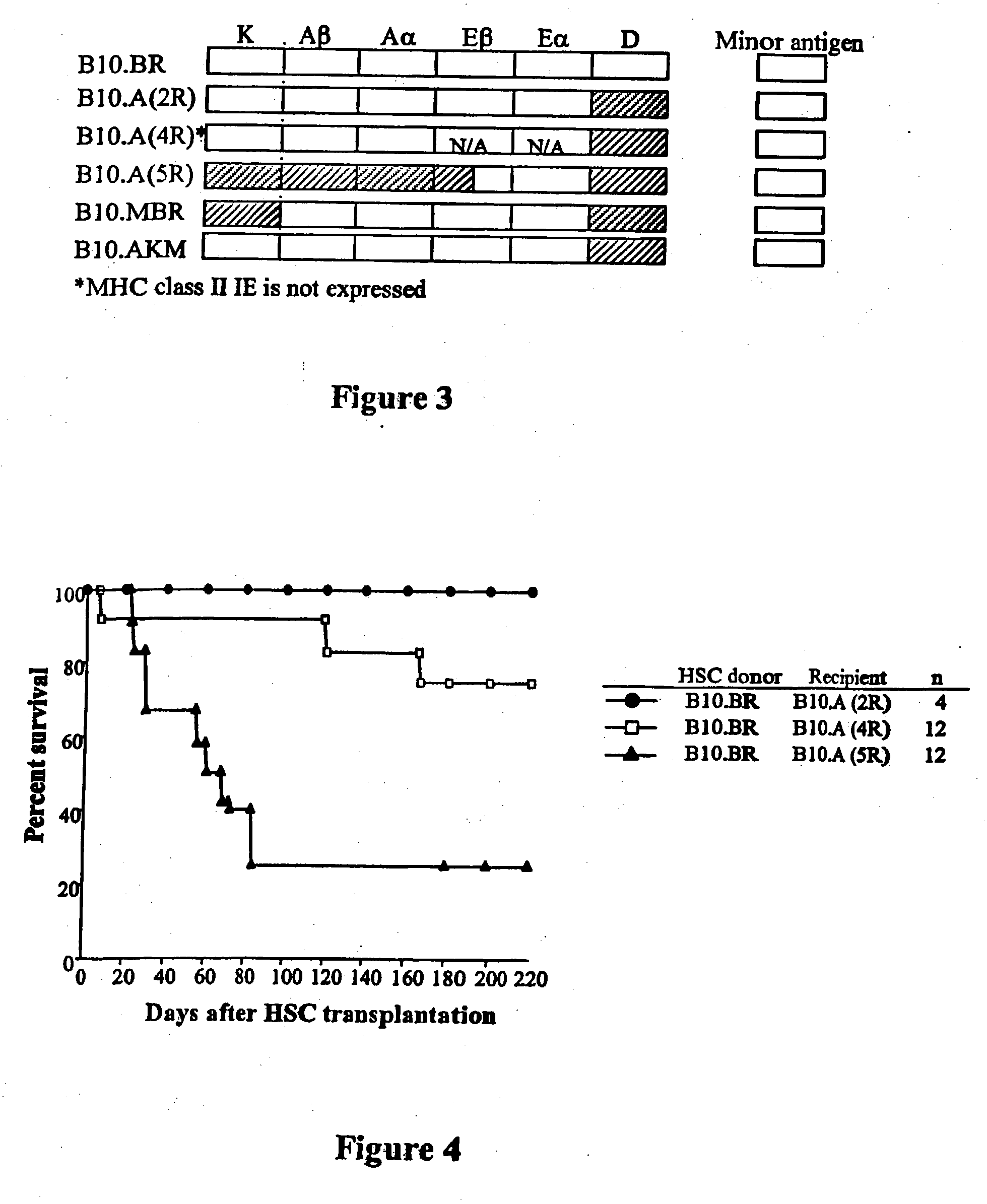 Methods for enhancing engraftment of purified hematopoietic stem cells in allogeneic recipients