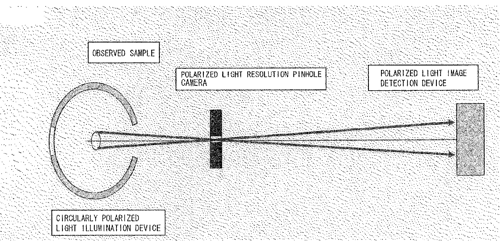 Optical device and method for shape and gradient detection and/or measurement and associated device