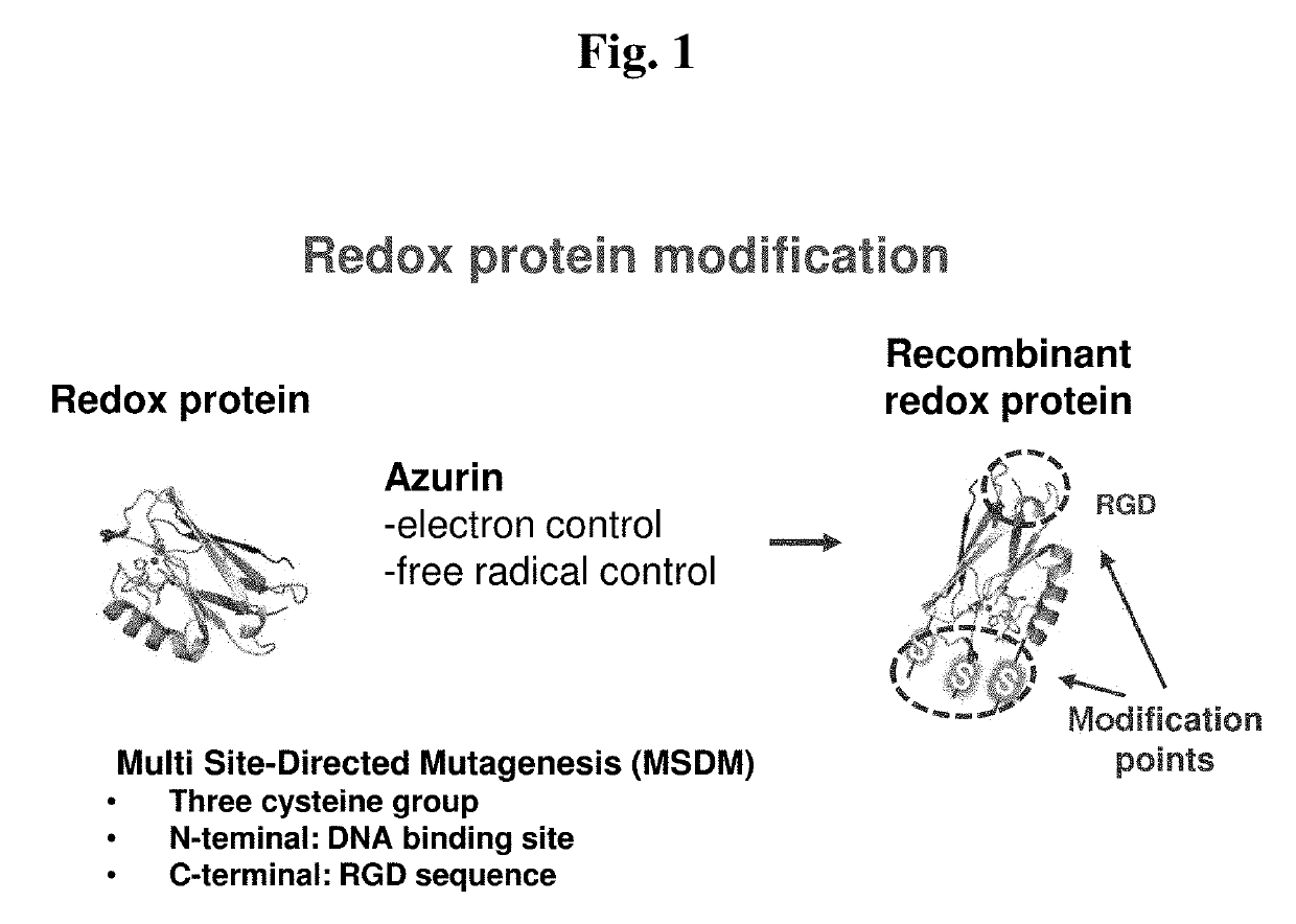 Biomoletron for regulation stem cell differentiation