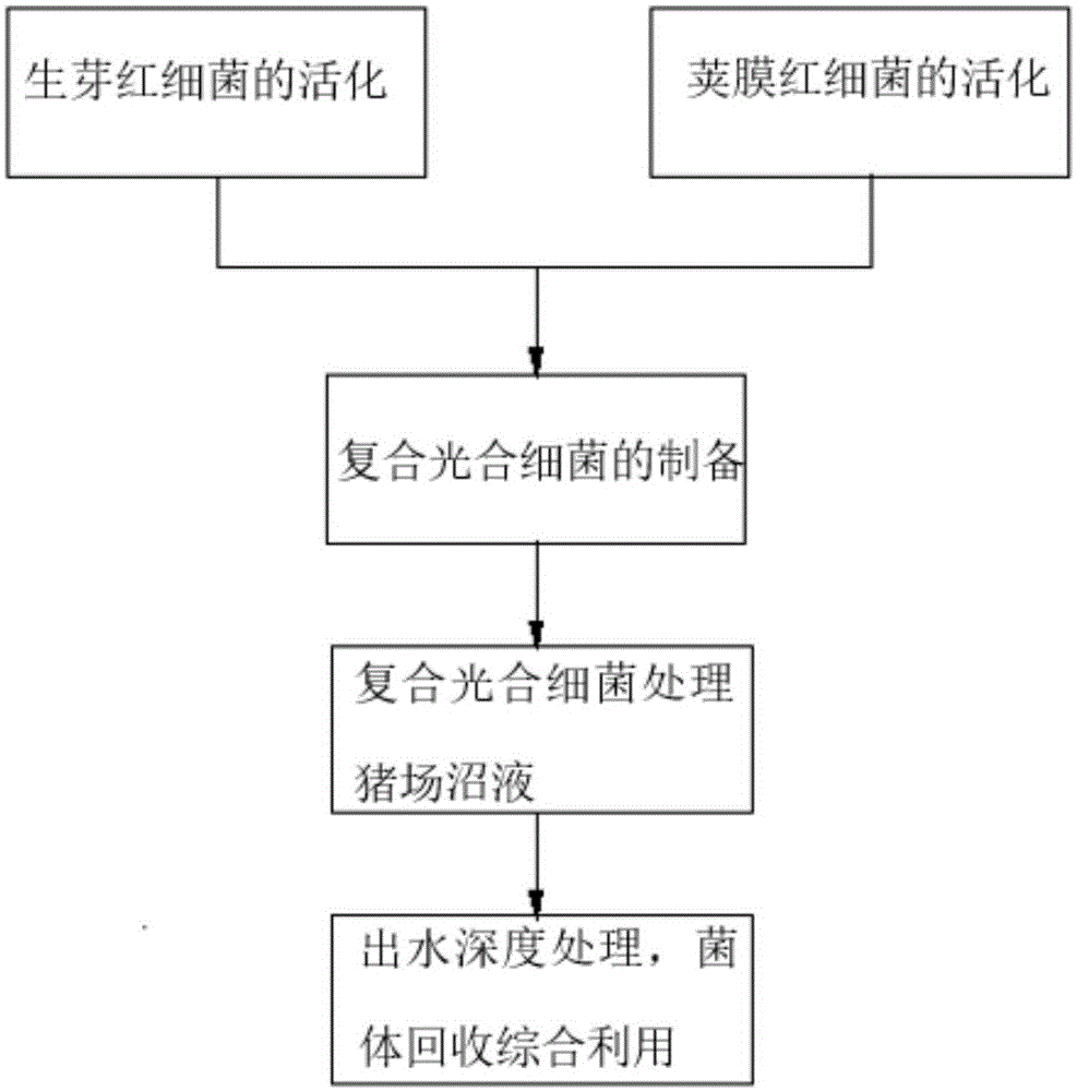 Method of treating piggery methane fluid by utilizing composite photosynthetic bacteria