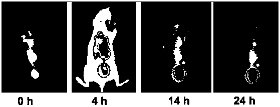 A signal-enhanced near-infrared fluorescent probe and its preparation method and application