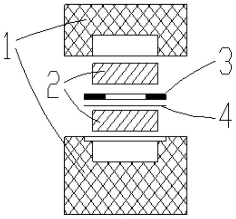 Electroporation device and system