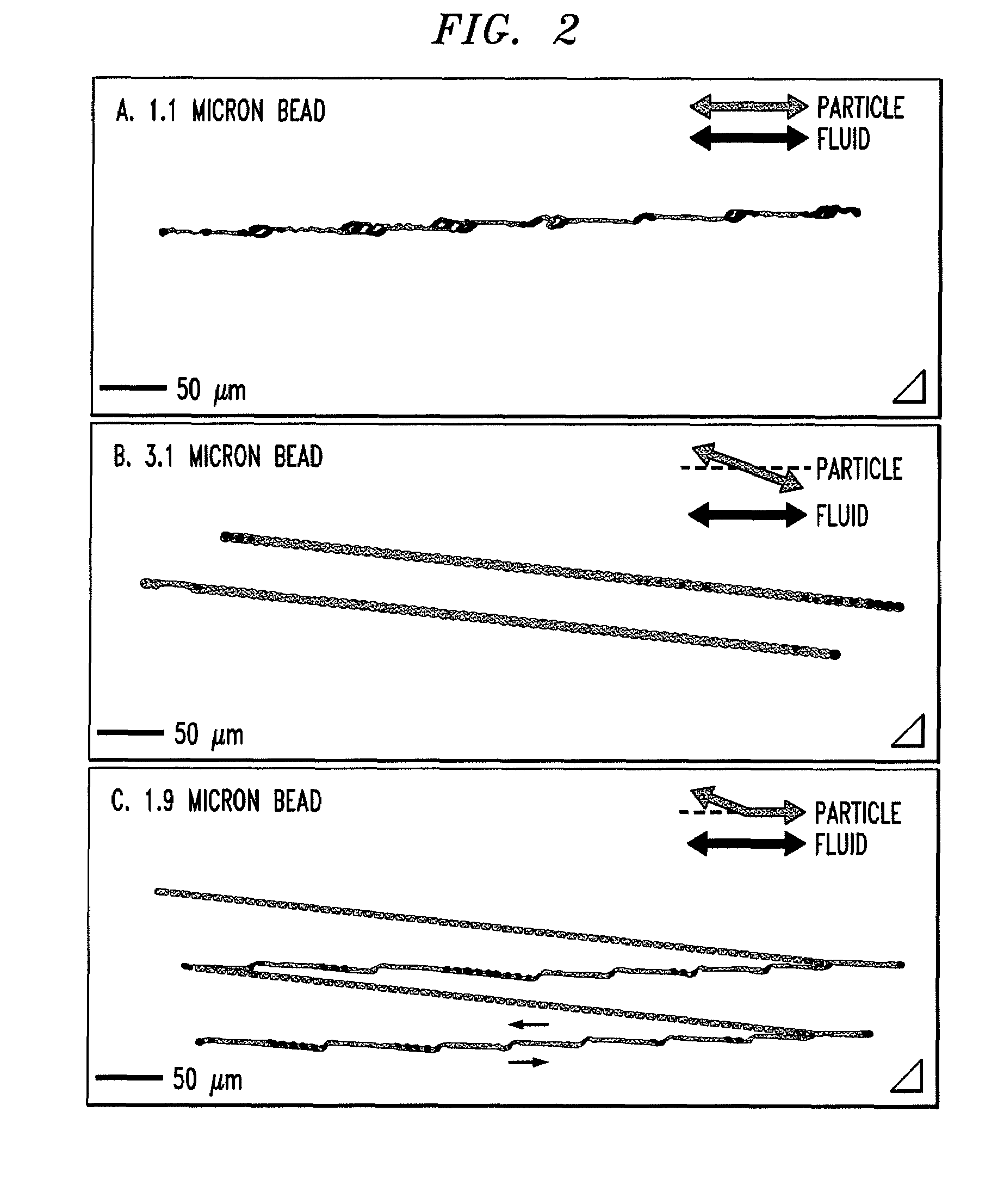 Bump array device having asymmetric gaps for segregation of particles