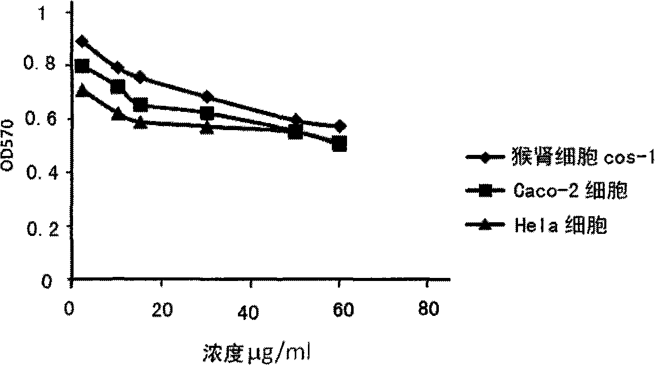 Tumor cell actively targeted drug delivery system, preparation method and application thereof