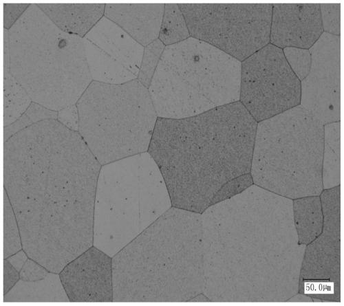An anti-corrosion molybdenum alloy electrode and its manufacturing method