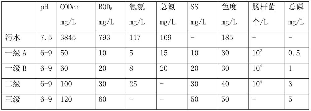 Catalyst loading device for degrading macromolecular organic compound through electron beam irradiation