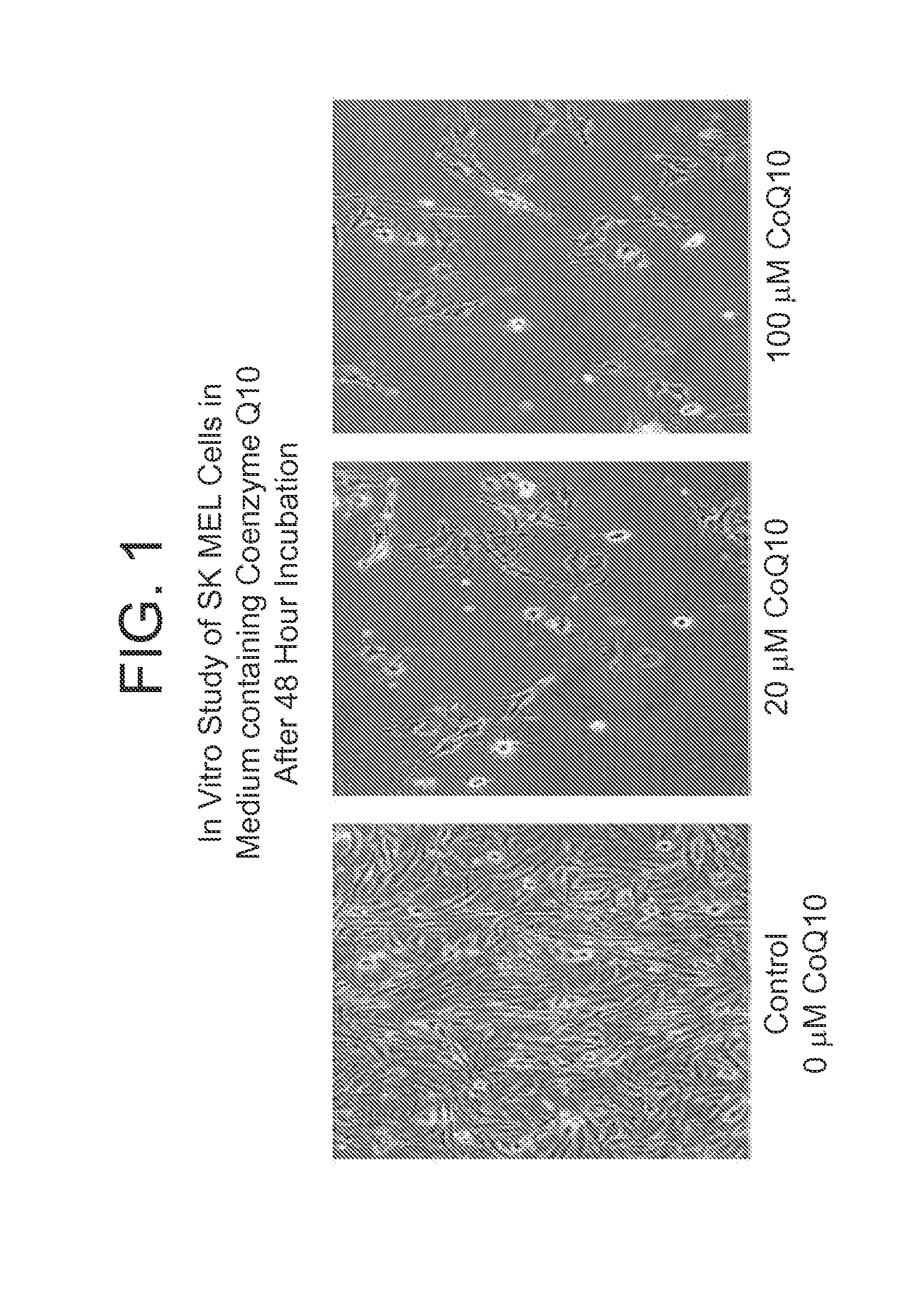 Co-enzyme Q10 formulations and methods of use
