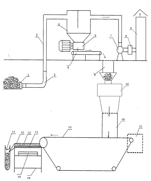 Method and device for selecting cocoon before reeling silkworm cocoon