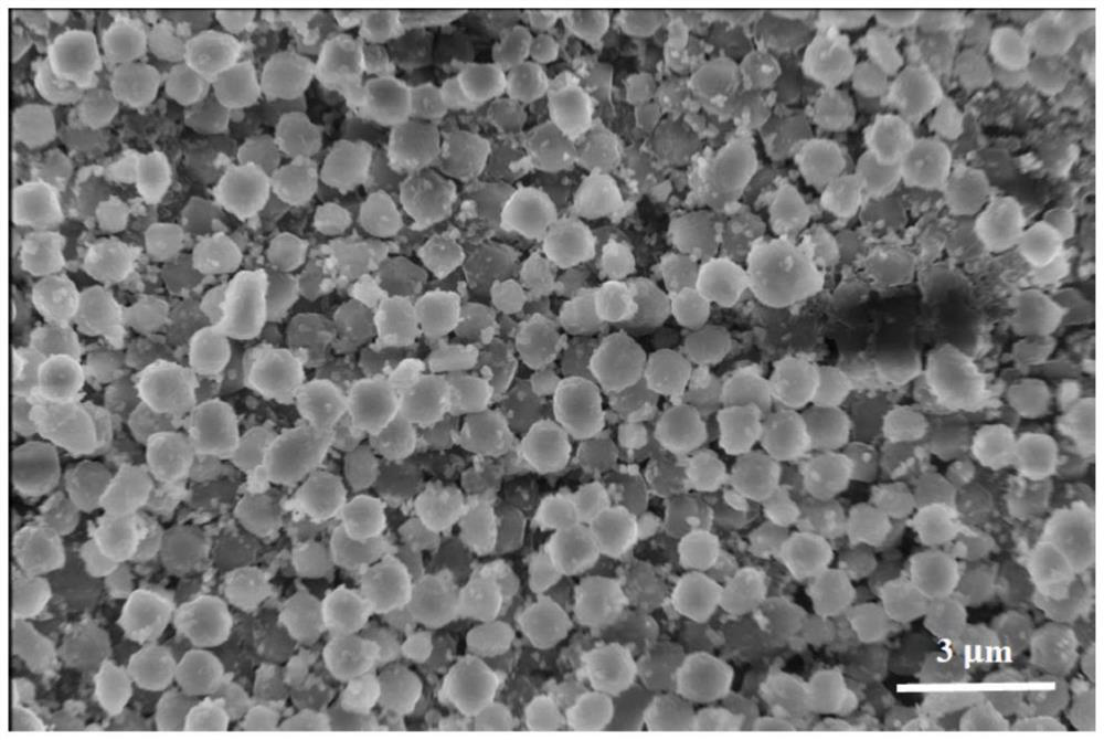 A multi-level catalytic structure composite material for efficient electrolysis of water and hydrogen evolution and its preparation method