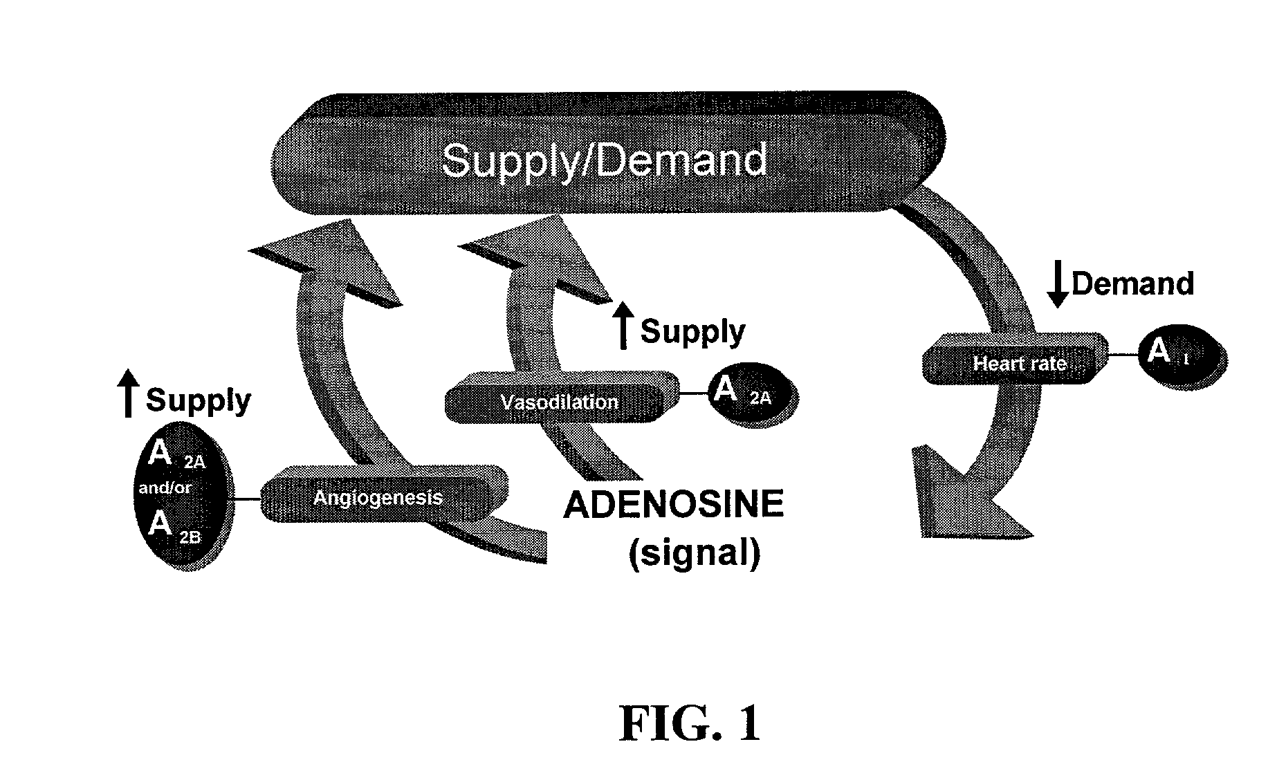 Adeno-associated virus-delivered ribozyme compositions and methods for the treatment of retinal diseases