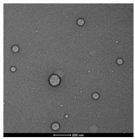 Tumor microenvironment reduction responsive nano-drug and preparation method thereof