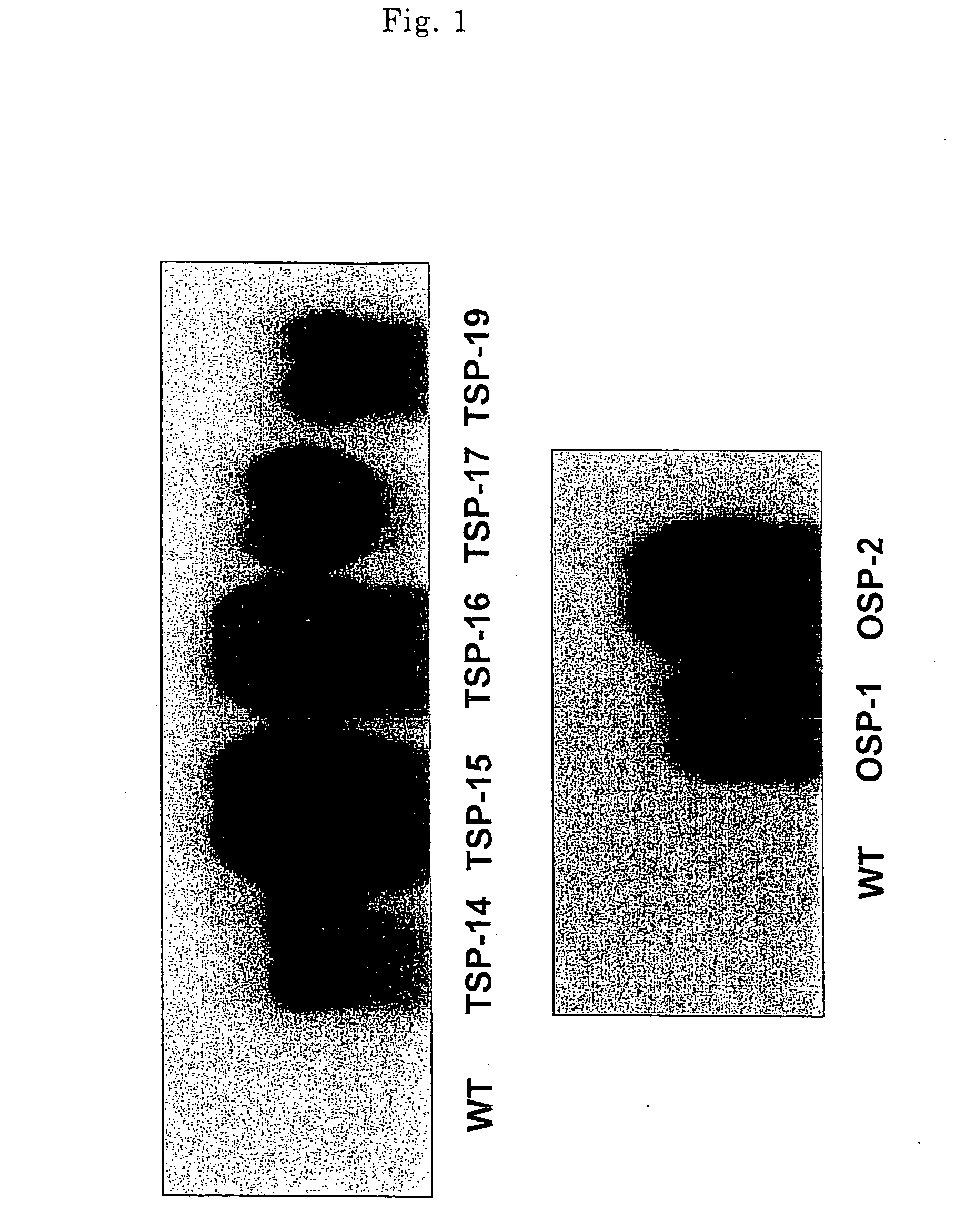 Method for increasing expression of stress defense genes