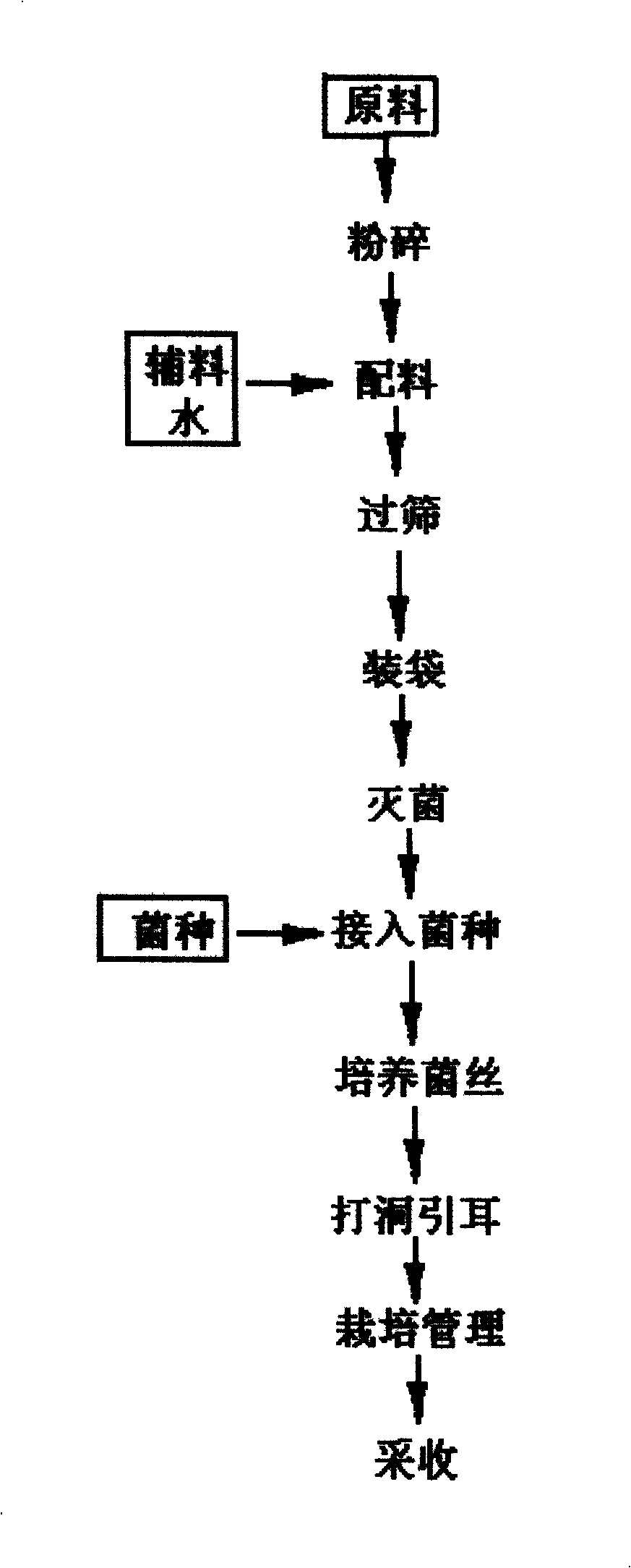 Method for cultivating black edible fungus using kailyard stalk
