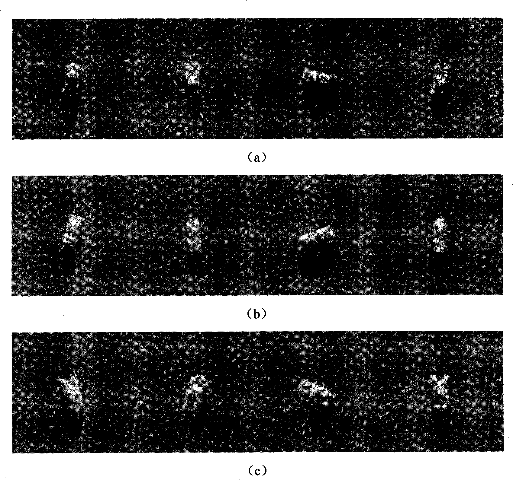 SAR target recognition method based on sparse least squares support vector machine