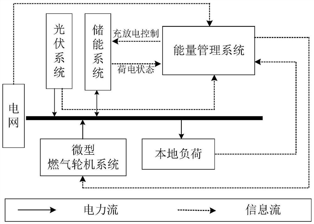 A multi-strategy evolutionary game analysis method for microgrid source-storage joint planning based on subject bounded rational decision-making