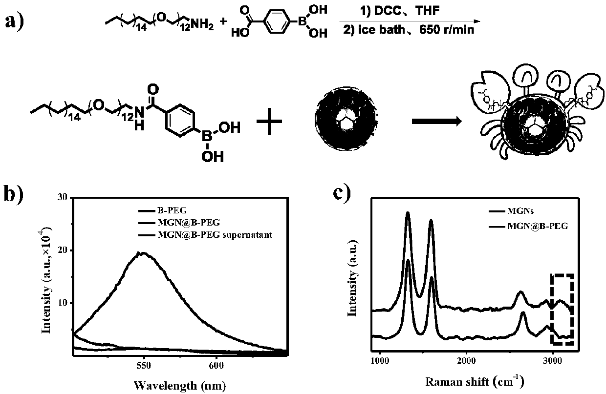 Preparation method of boric acid PEG modified magnetic graphene nano composite material