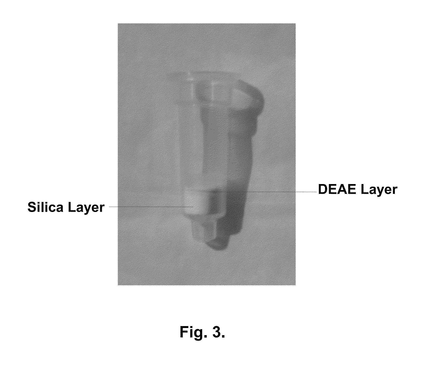 Chromatography column and method for isolating nucleic acid