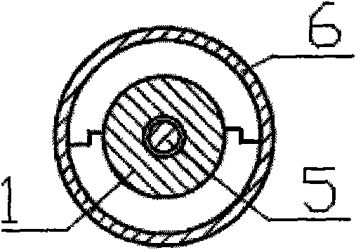 Instrument for transplanting hair