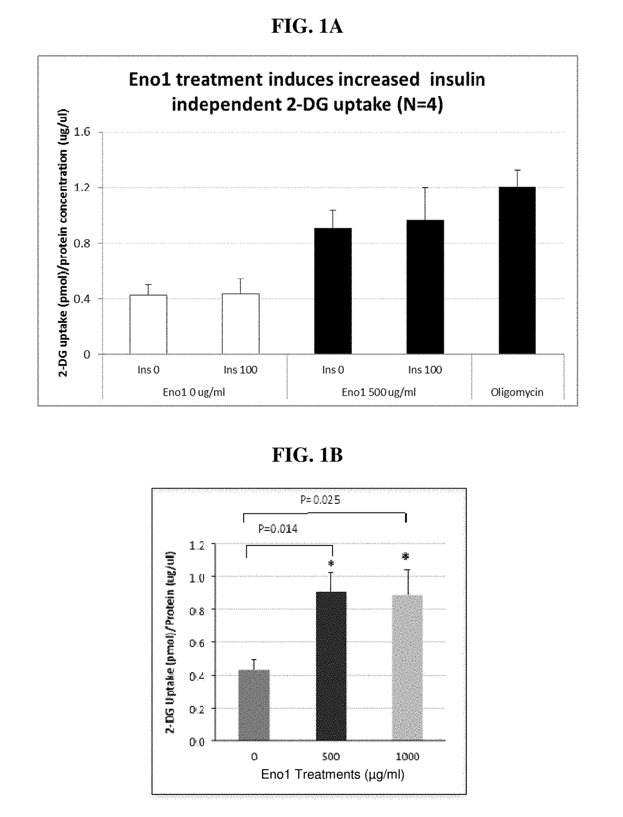 Enolase 1 (Eno1) compositions and uses thereof