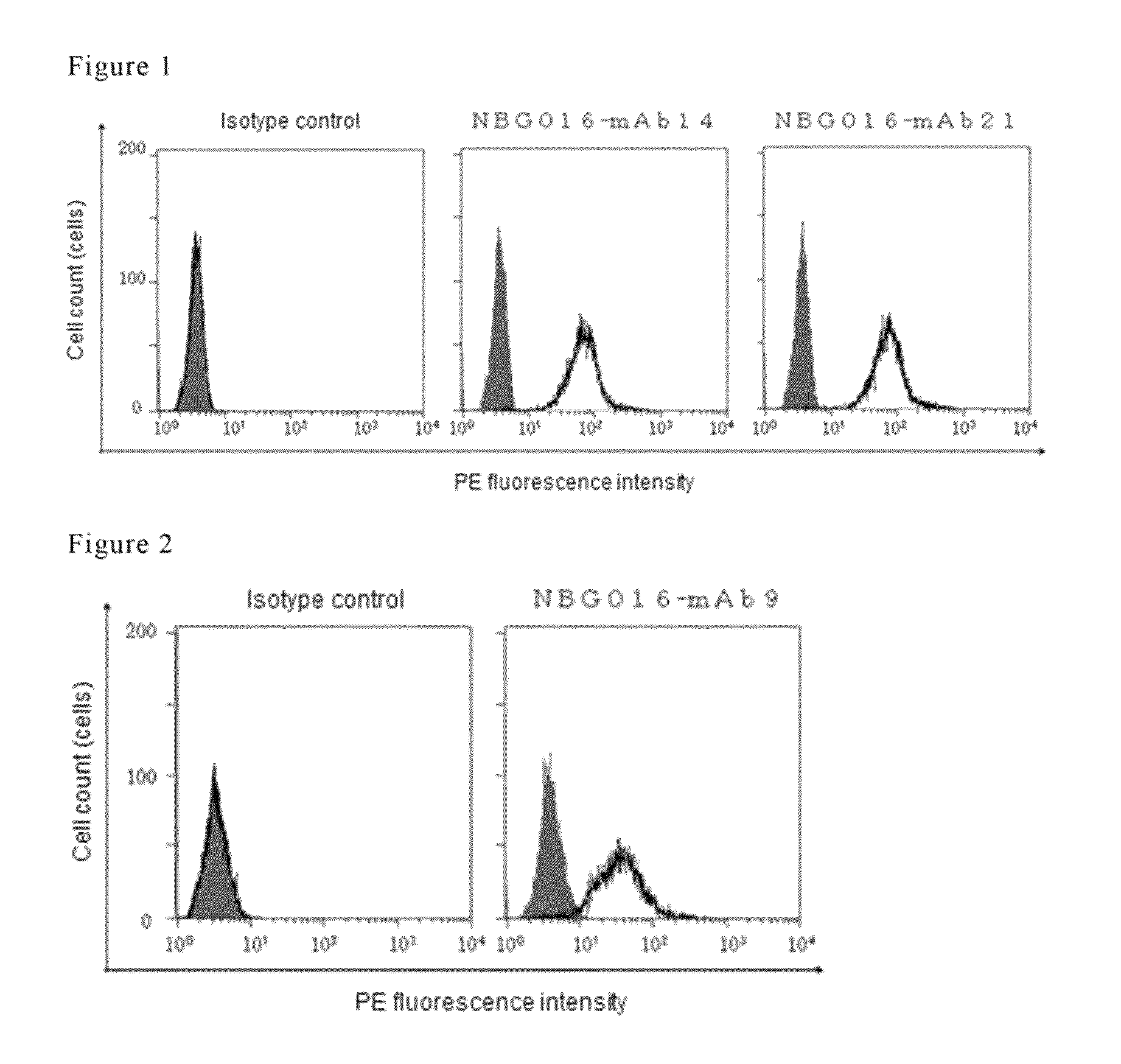 Antibody against human prostaglandin E<sub>2 </sub>receptor EP4