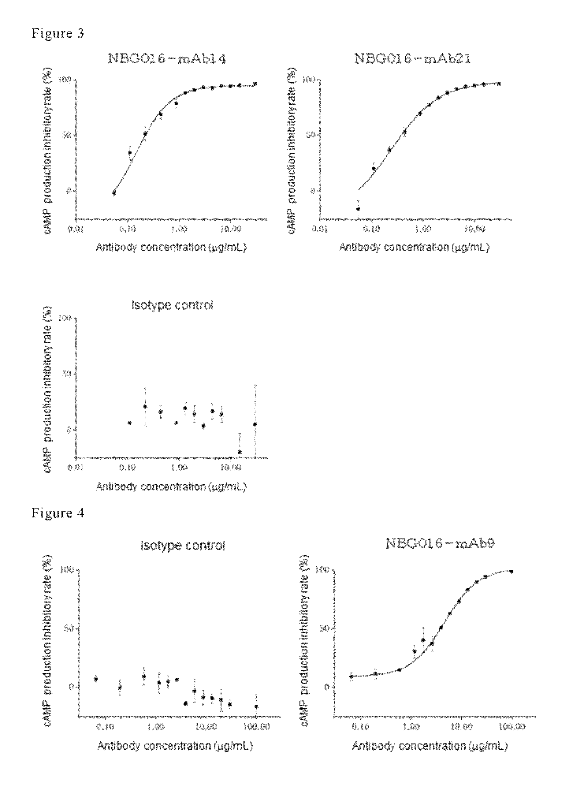 Antibody against human prostaglandin E<sub>2 </sub>receptor EP4