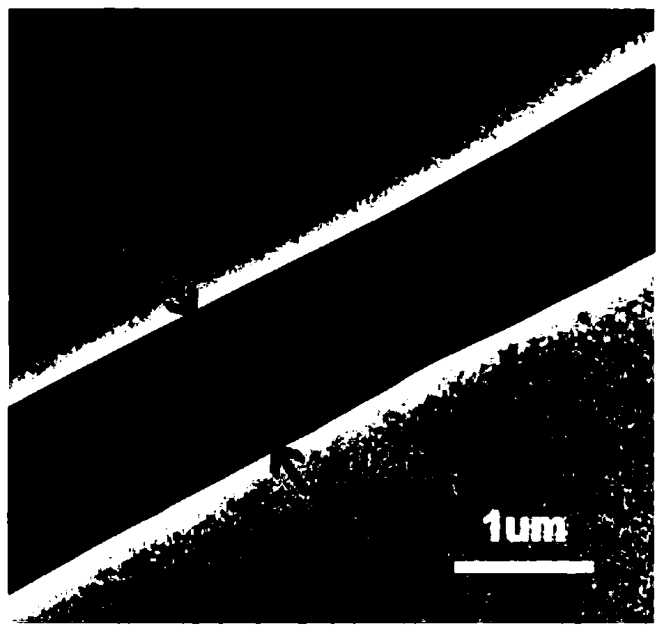 A shape-memory highly elastic active nanofiber scaffold and its application