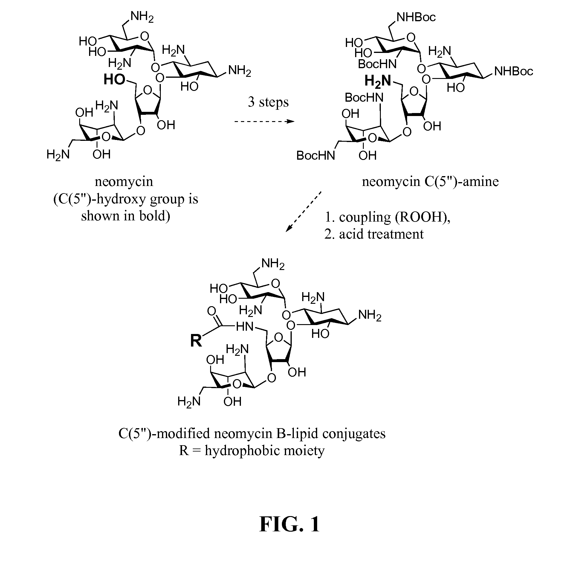 Hydrophobically enhanced aminoglycosides