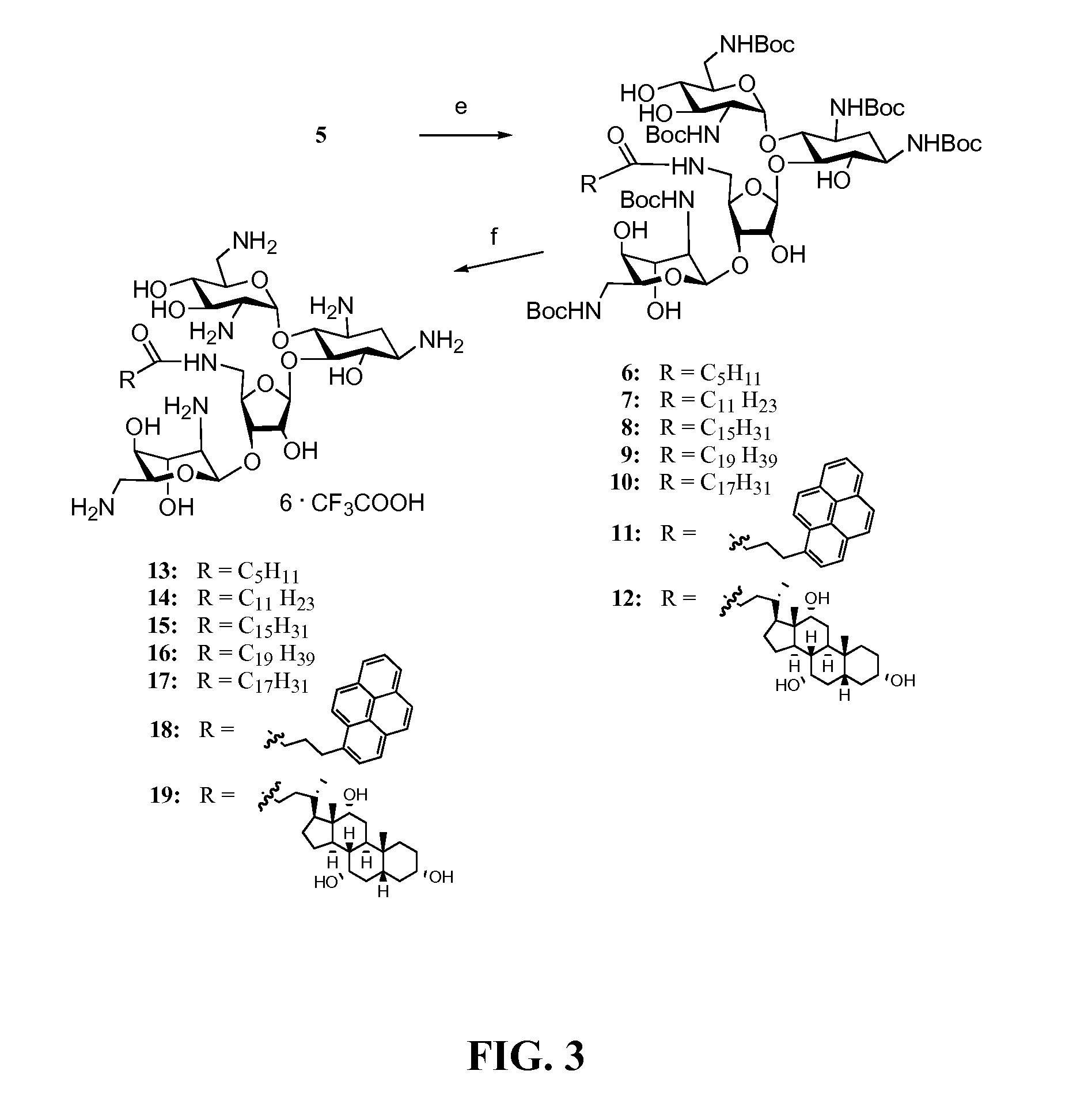 Hydrophobically enhanced aminoglycosides