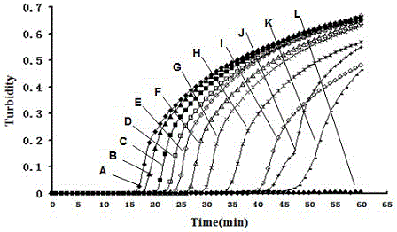 Streptococcus iniae loop-mediated isothermal amplification kit and application thereof