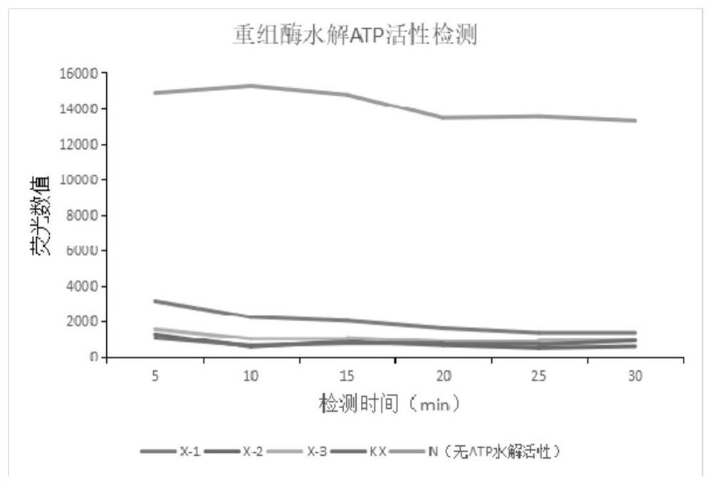 RDA method and kit for rapidly detecting canine coronaviruses (CCV)