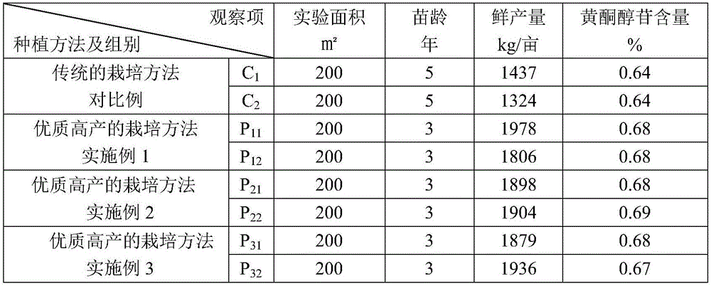 Cultivation method for high-quality and high-yield leaf-oriented ginkgo