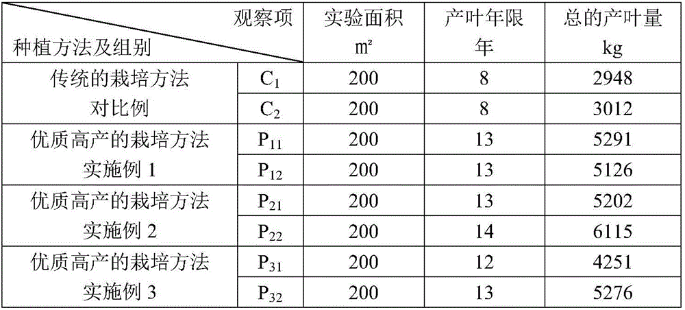 Cultivation method for high-quality and high-yield leaf-oriented ginkgo