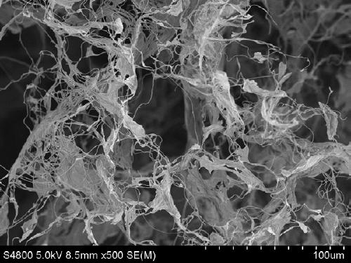 Electrospun nanofiber composite carbon aerogel and preparation method thereof