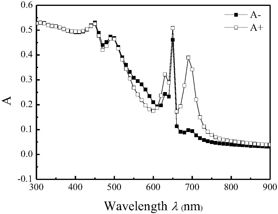 Single-layer three-bending hole nanofilm with strong absorbing circular dichroism and preparation method thereof