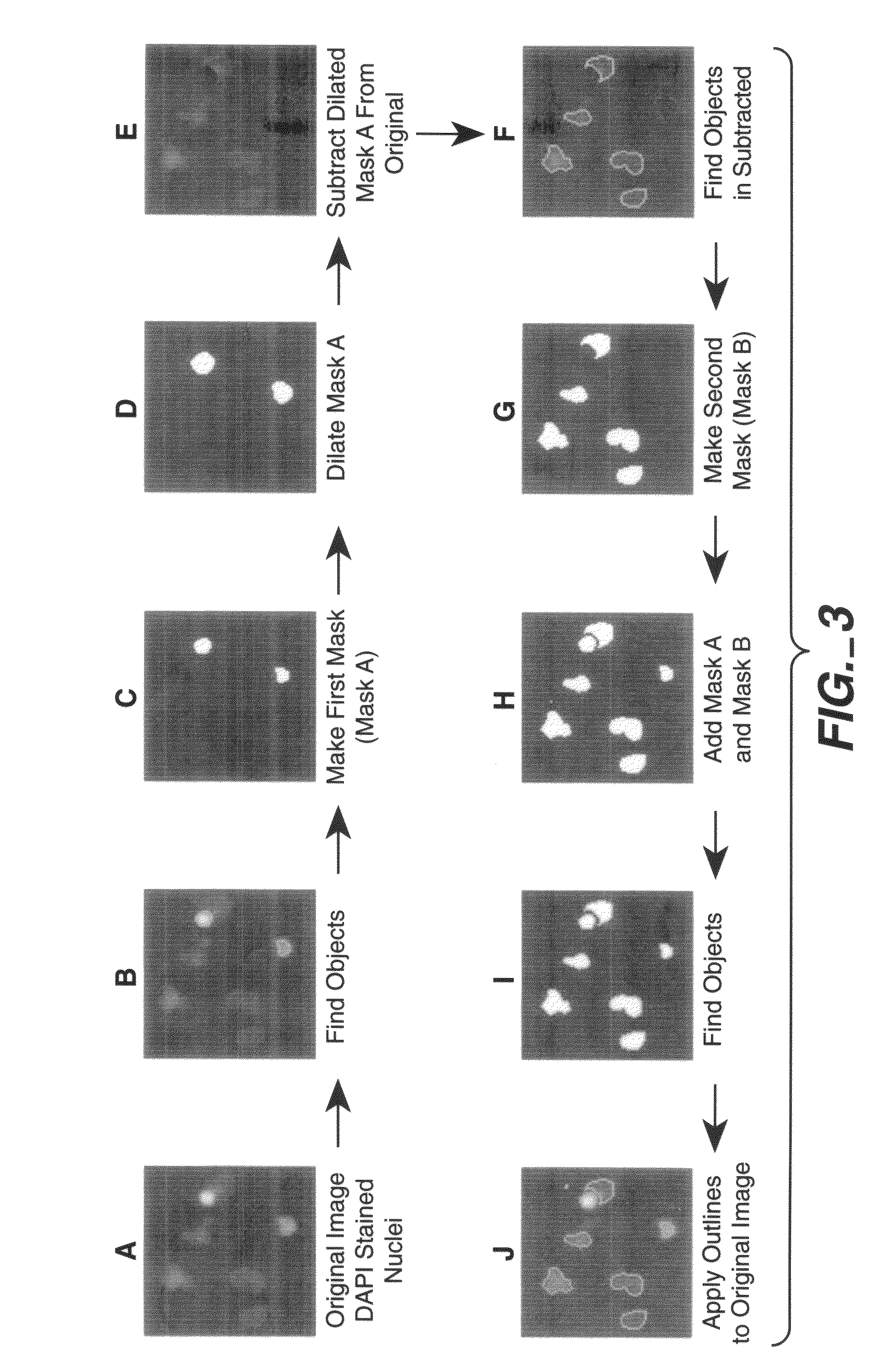 System and method for high-content oncology assay