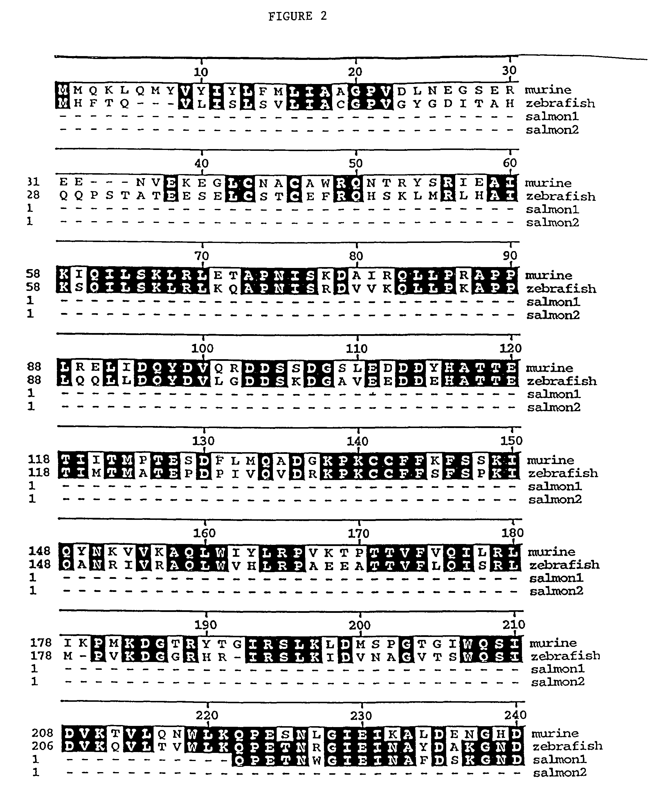 Promyostatin peptides and methods of using same