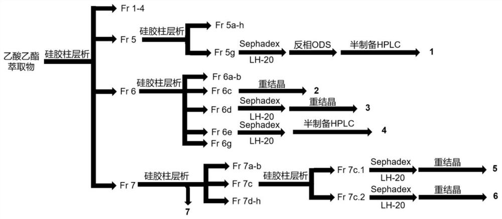 Preparation method and application of hippophae rhamnoides fruit extract for inhibiting xanthine oxidase